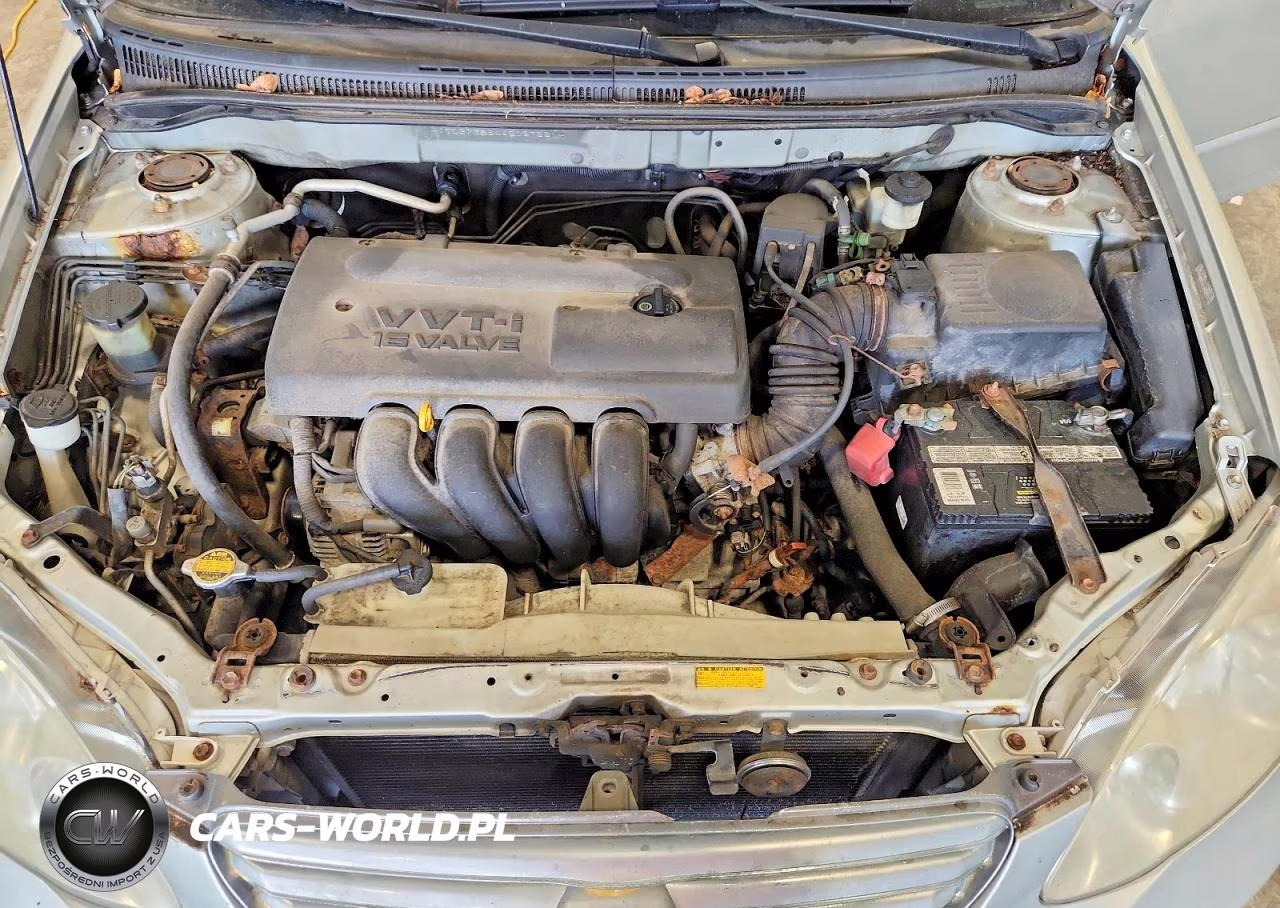 2004 Toyota Corolla Le VIN:JTDBR38E442027521 - 11