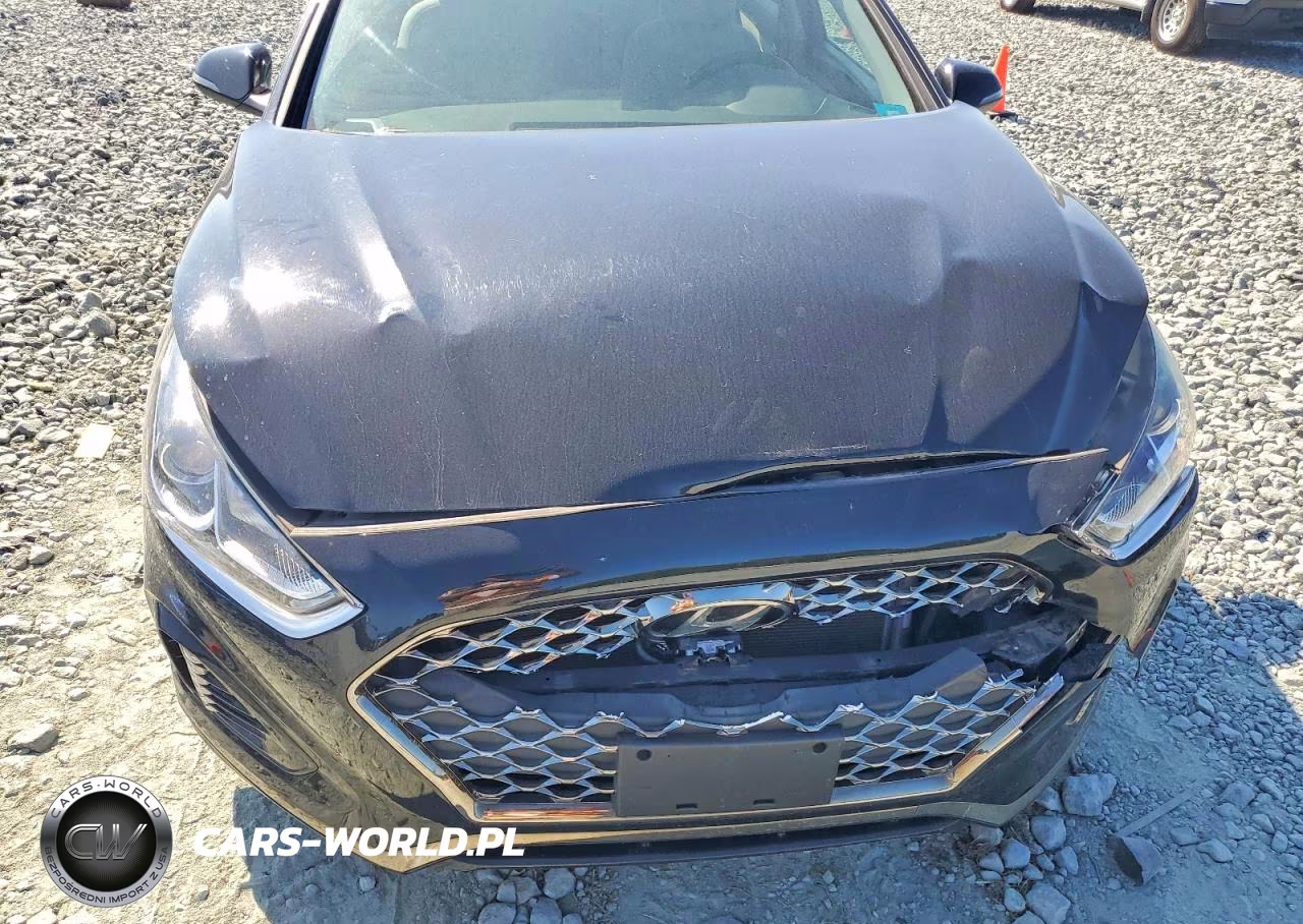 2019 Hyundai Sonata Sel VIN:5NPE34AF9KH804858 - 11