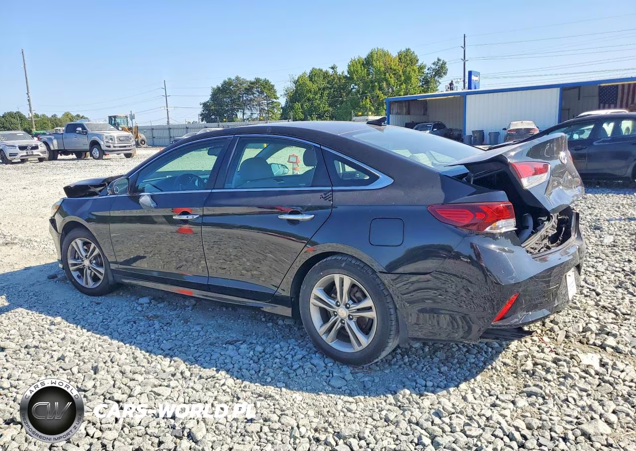 2019 Hyundai Sonata Sel VIN:5NPE34AF9KH804858 - 2