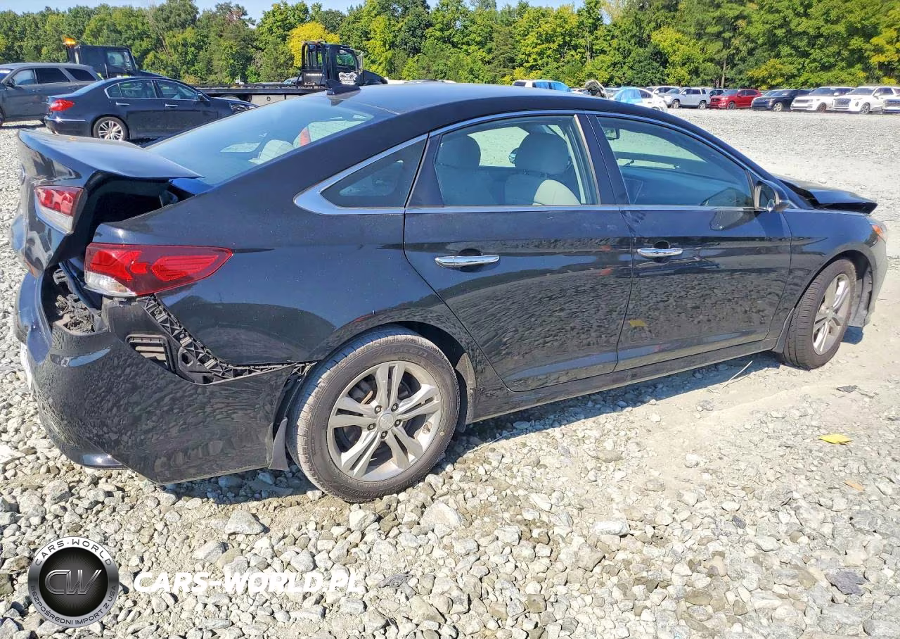 2019 Hyundai Sonata Sel VIN:5NPE34AF9KH804858 - 3