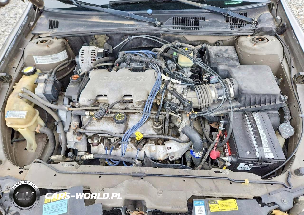 2001 Chevrolet Malibu VIN:1G1ND52J816252020 - 11