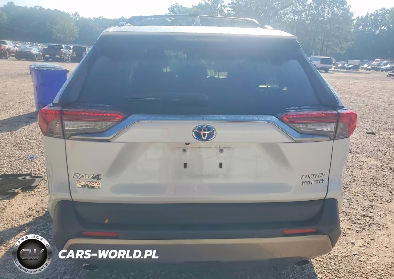 2023 Toyota Rav4 Limited VIN:JTMD6RFV9PD541901 - 6