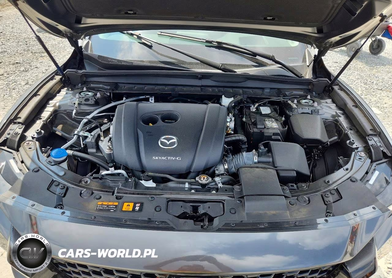 2023 Mazda Cx-50 Premium Plus VIN:7MMVABEMXPN120038 - 12