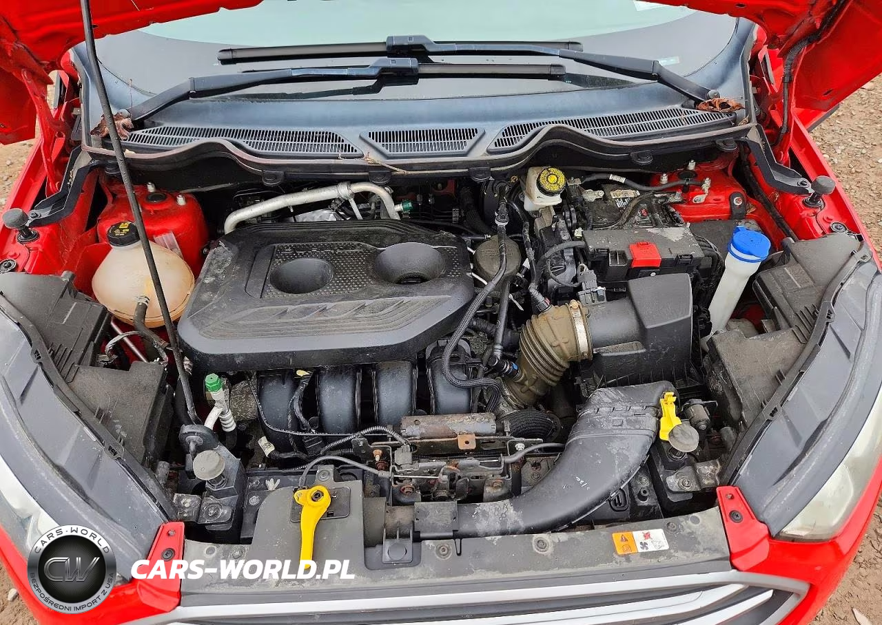 2019 Ford Ecosport Se VIN:MAJ6S3GL7KC291979 - 12