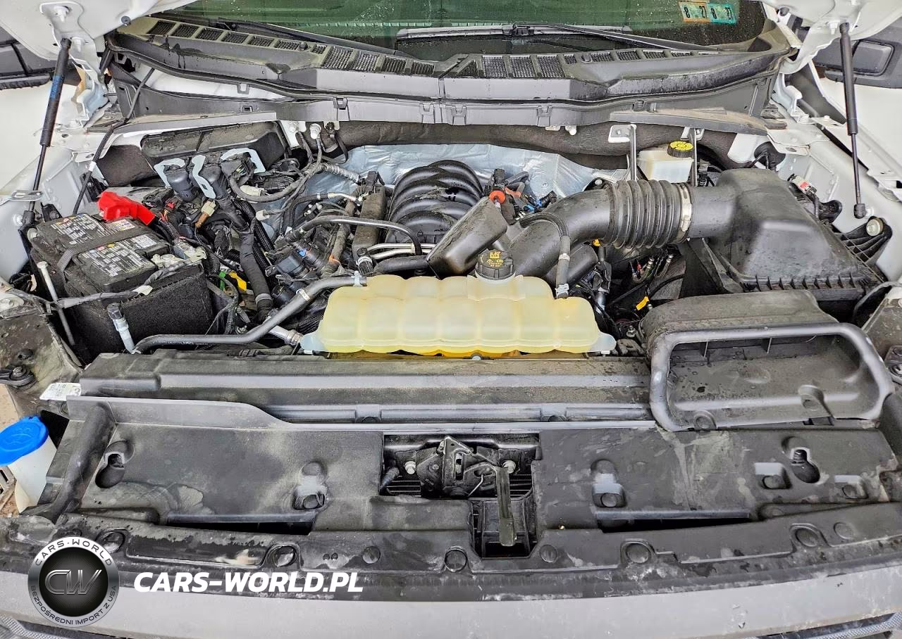 2024 Ford F150 Xl VIN:1FTMF1L55RKD05976 - 11
