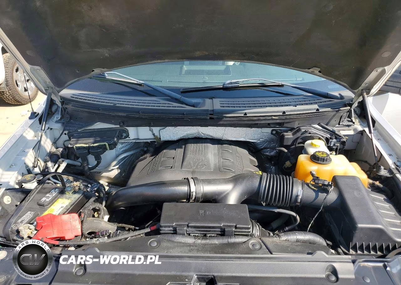 2013 Ford F150 Supercrew VIN:1FTFW1ET5DFD66637 - 11