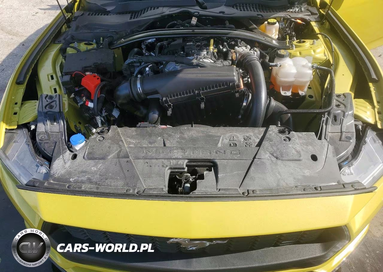 2025 Ford Mustang VIN:1FAGP8UH8S5124926 - 11
