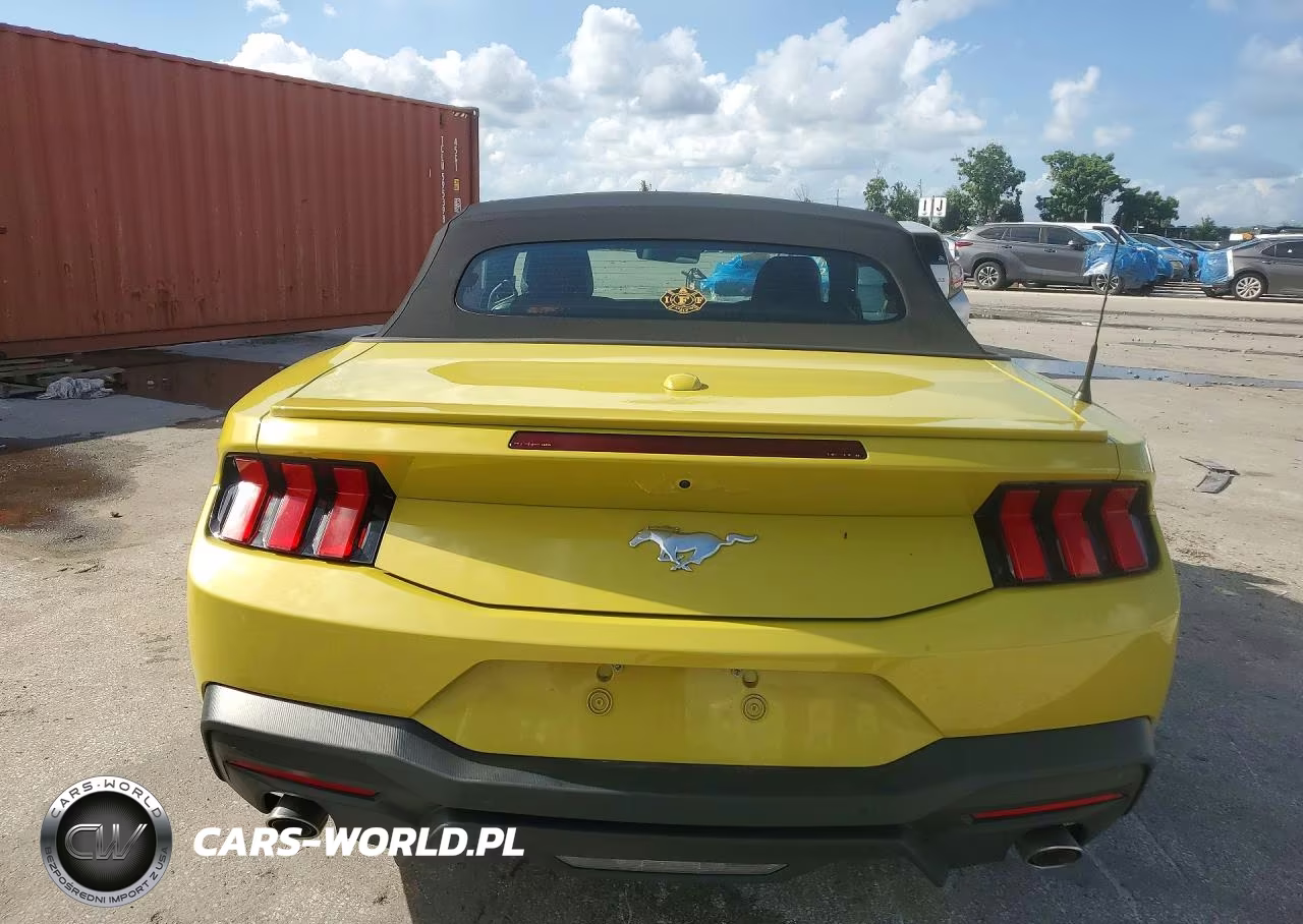 2025 Ford Mustang VIN:1FAGP8UH8S5124926 - 6
