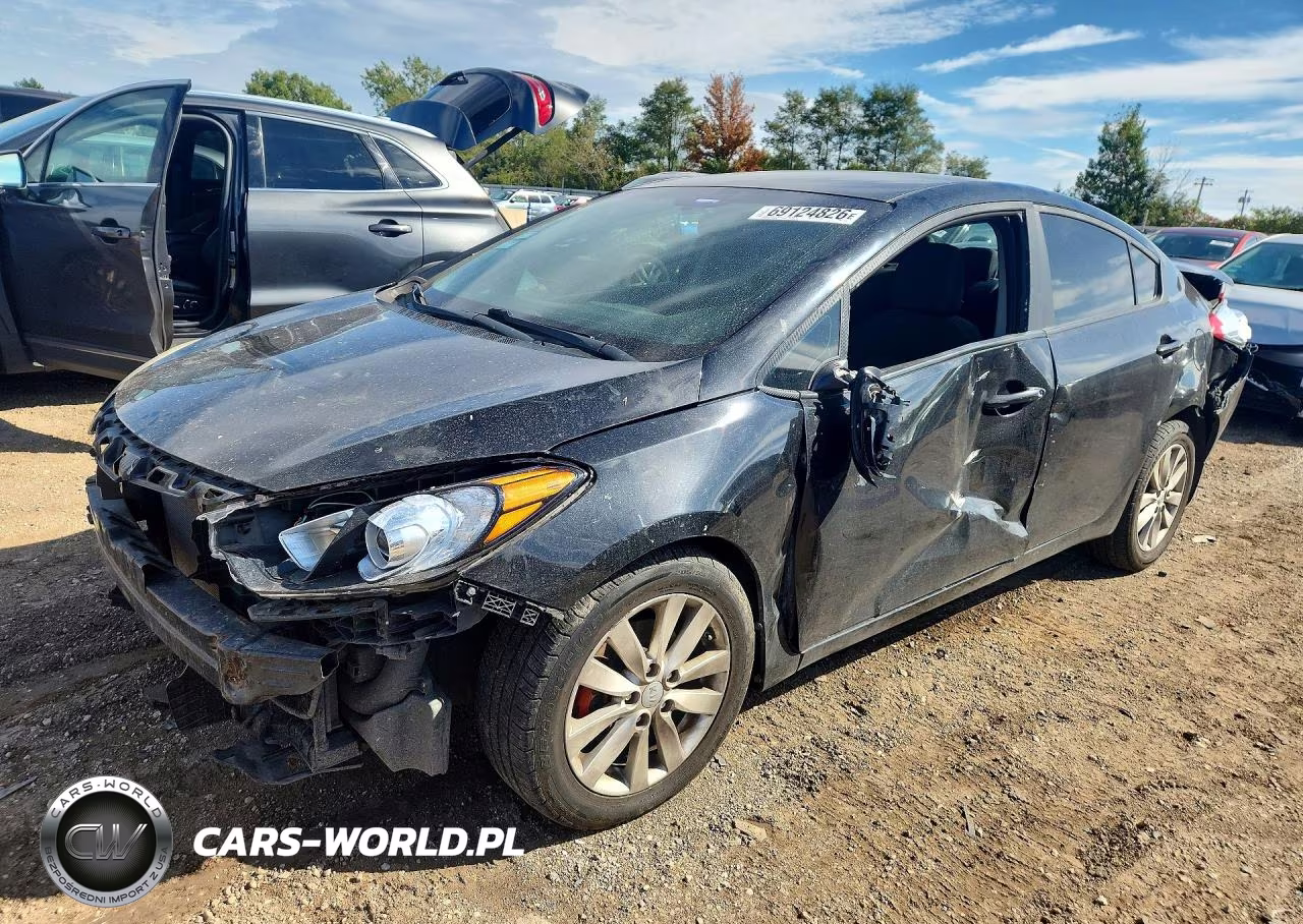 2014 Kia Forte Lx VIN:KNAFX4A66E5194282 - 1