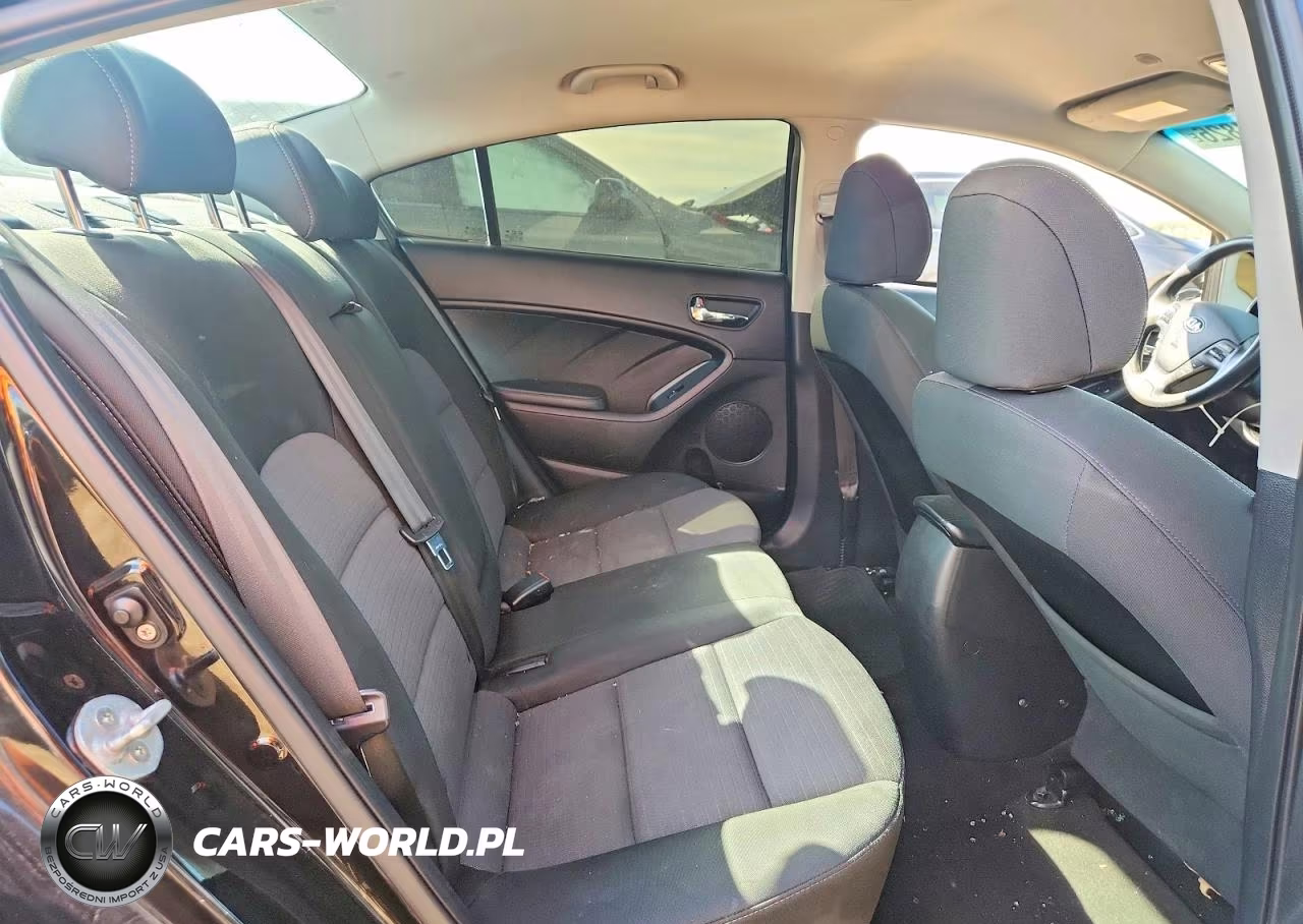 2014 Kia Forte Lx VIN:KNAFX4A66E5194282 - 10