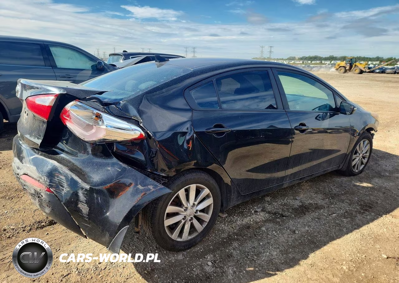 2014 Kia Forte Lx VIN:KNAFX4A66E5194282 - 3