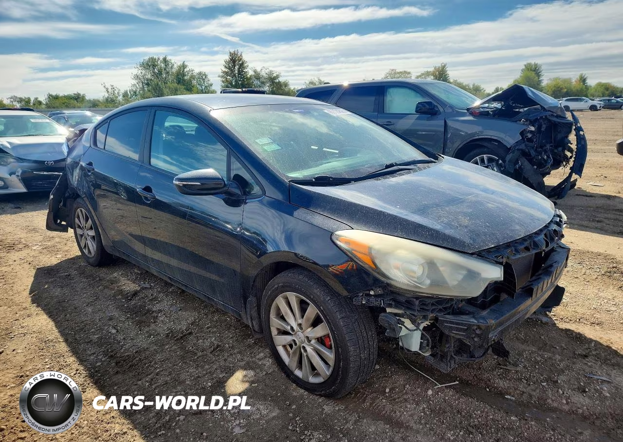 2014 Kia Forte Lx VIN:KNAFX4A66E5194282 - 4