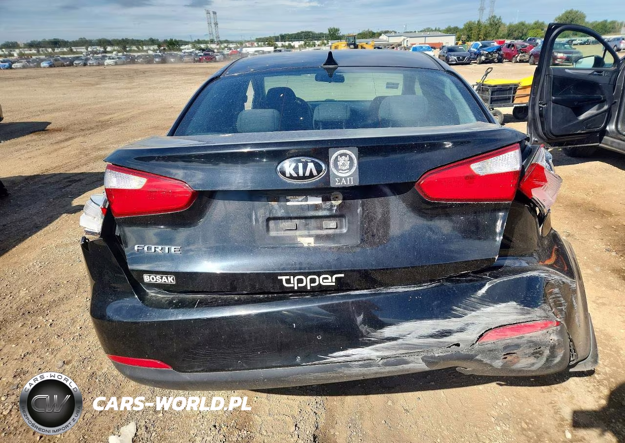 2014 Kia Forte Lx VIN:KNAFX4A66E5194282 - 6