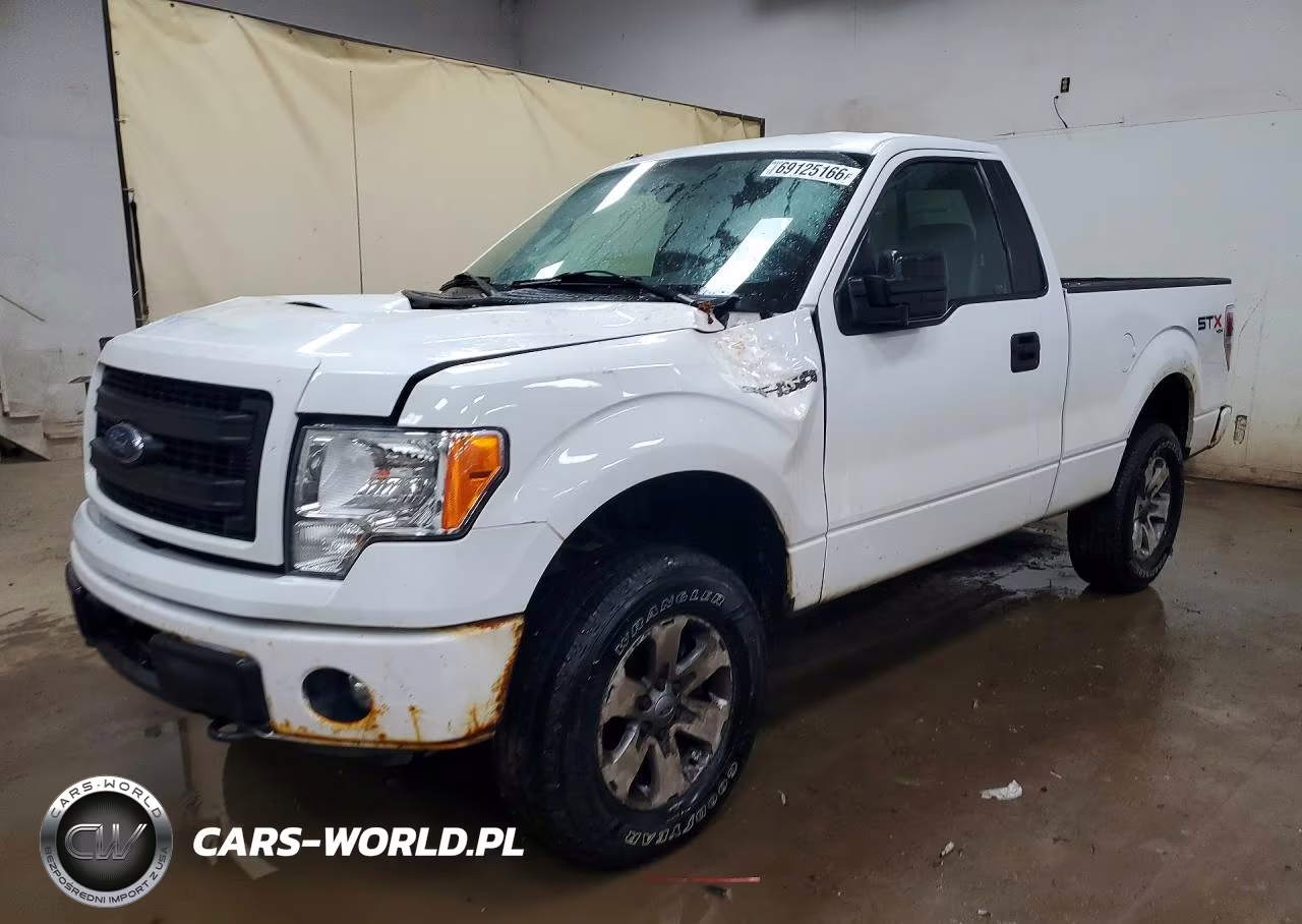 2013 Ford F150 – zdjęcie 1 z 13