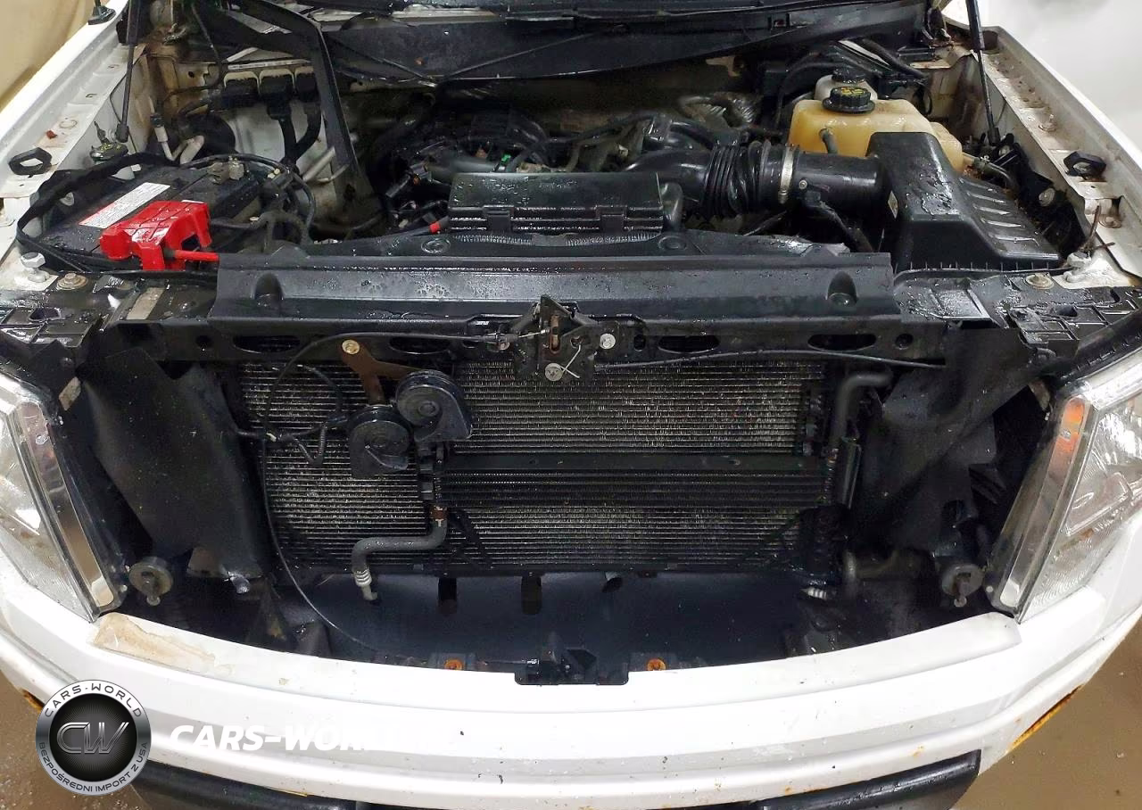 2013 Ford F150 VIN:1FTMF1EM3DKE53363 - 11
