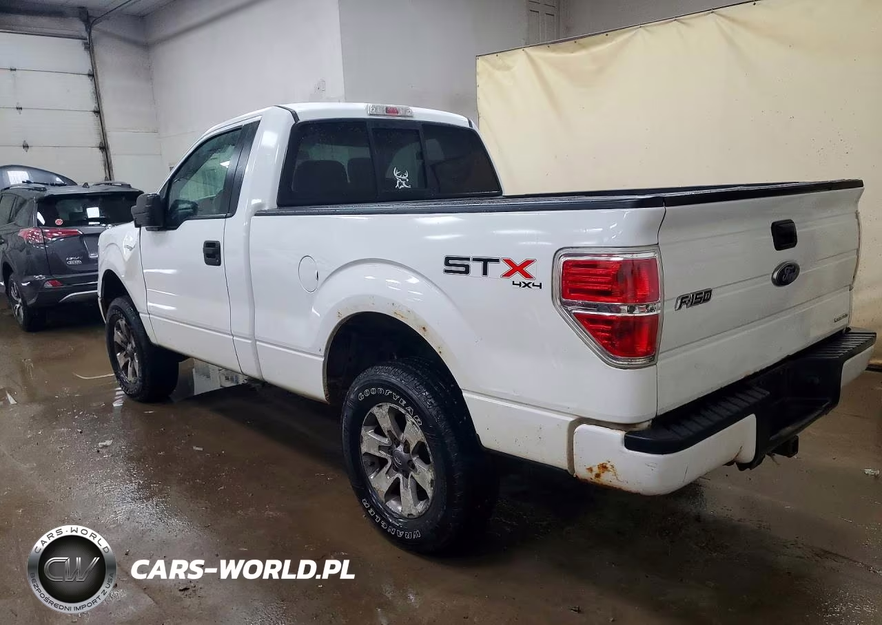 2013 Ford F150 VIN:1FTMF1EM3DKE53363 - 2