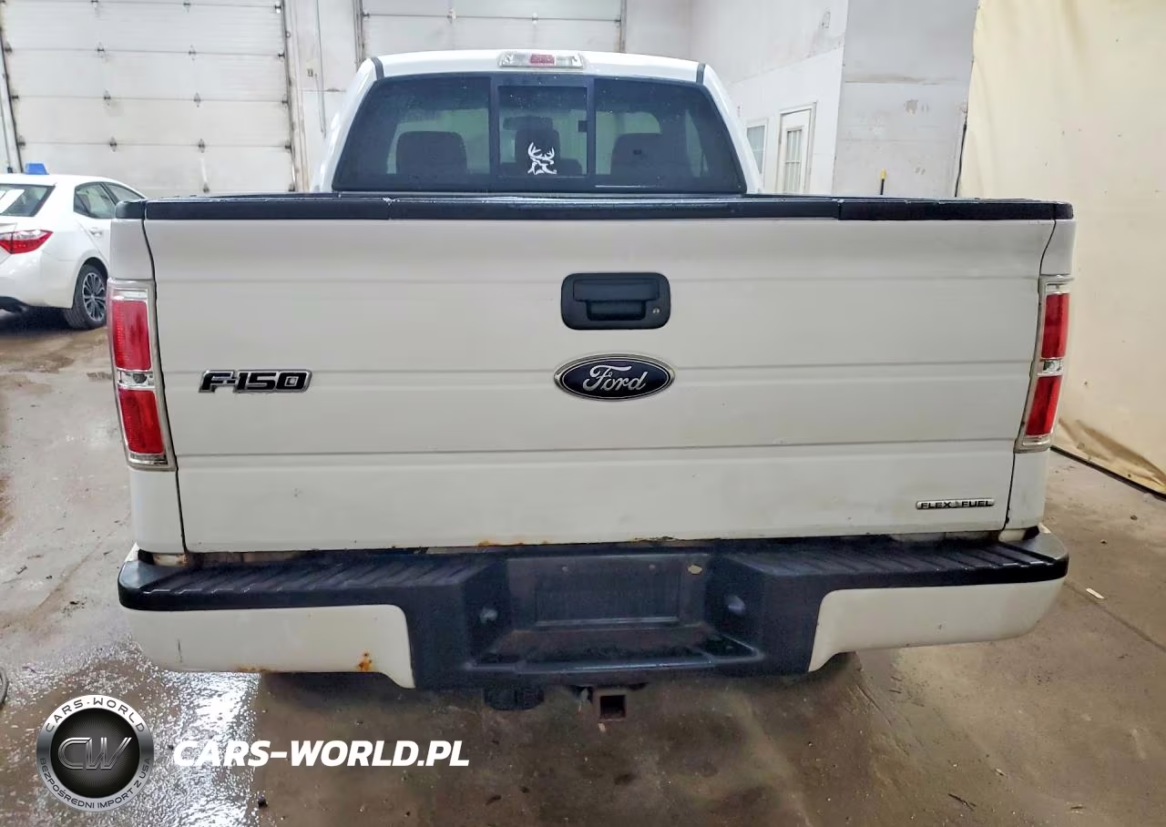 2013 Ford F150 VIN:1FTMF1EM3DKE53363 - 6