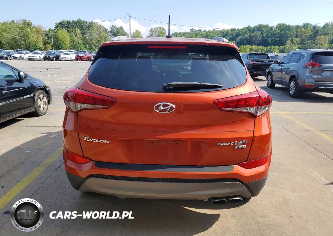 2016 Hyundai Tucson Sport VIN:KM8J3CA21GU230769 - 6