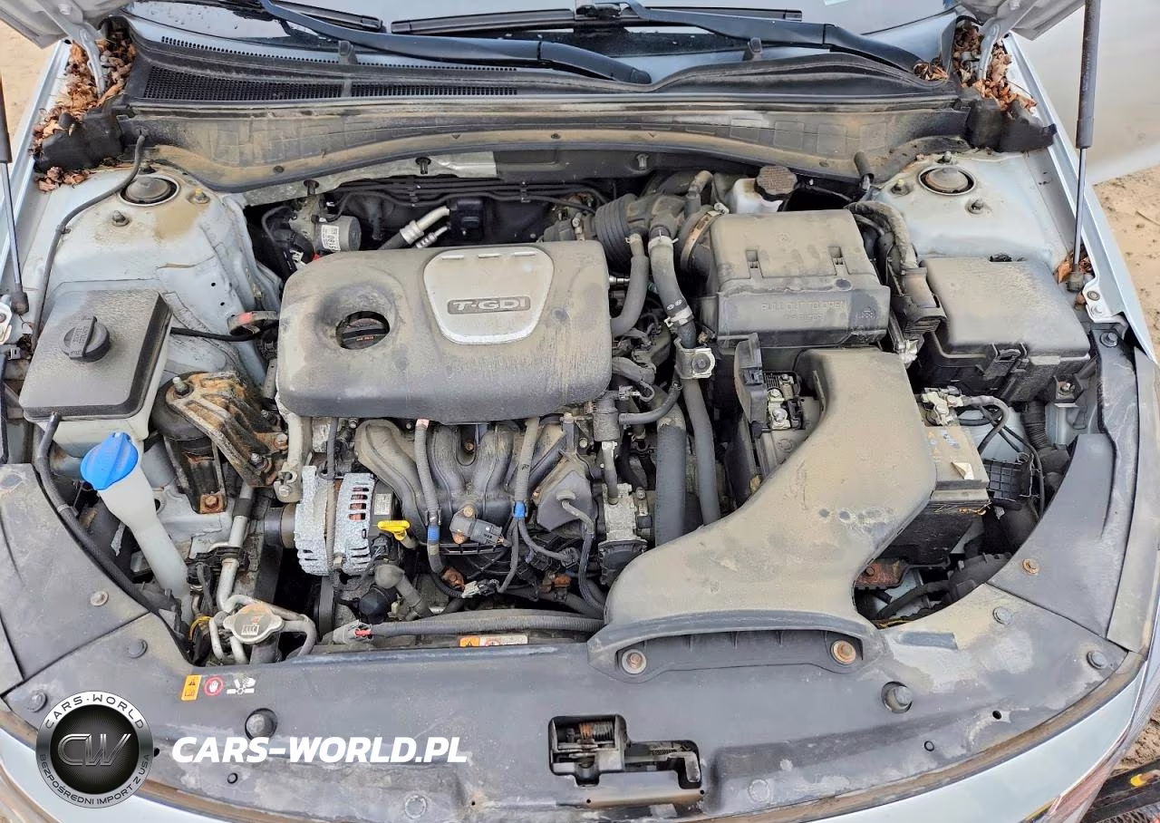 2019 Kia Optima Ex VIN:5XXGU4L1XKG340076 - 11