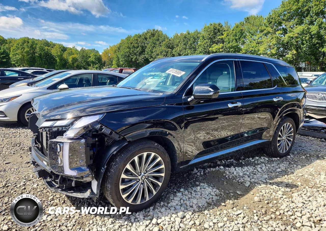 2025 Hyundai Palisade Calligraphy VIN:KM8R7DGE4SU917526 - 1