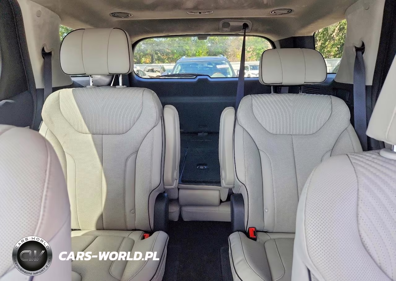 2025 Hyundai Palisade Calligraphy VIN:KM8R7DGE4SU917526 - 10