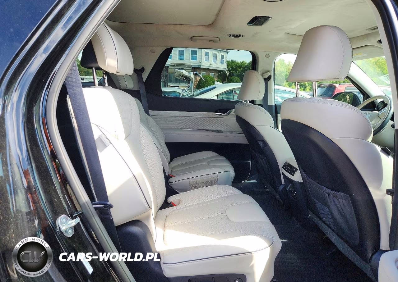 2025 Hyundai Palisade Calligraphy VIN:KM8R7DGE4SU917526 - 11
