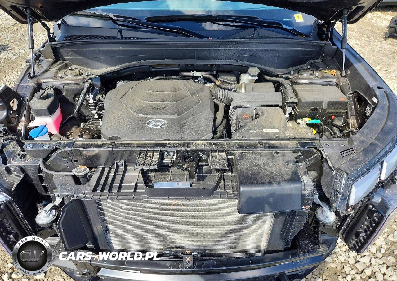 2025 Hyundai Palisade Calligraphy VIN:KM8R7DGE4SU917526 - 12