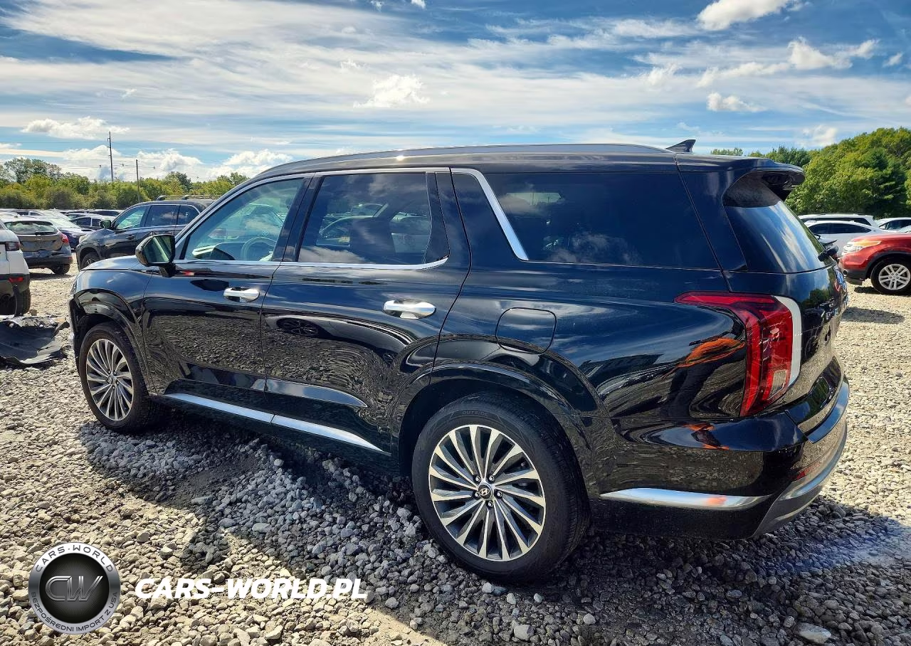 2025 Hyundai Palisade Calligraphy VIN:KM8R7DGE4SU917526 - 2