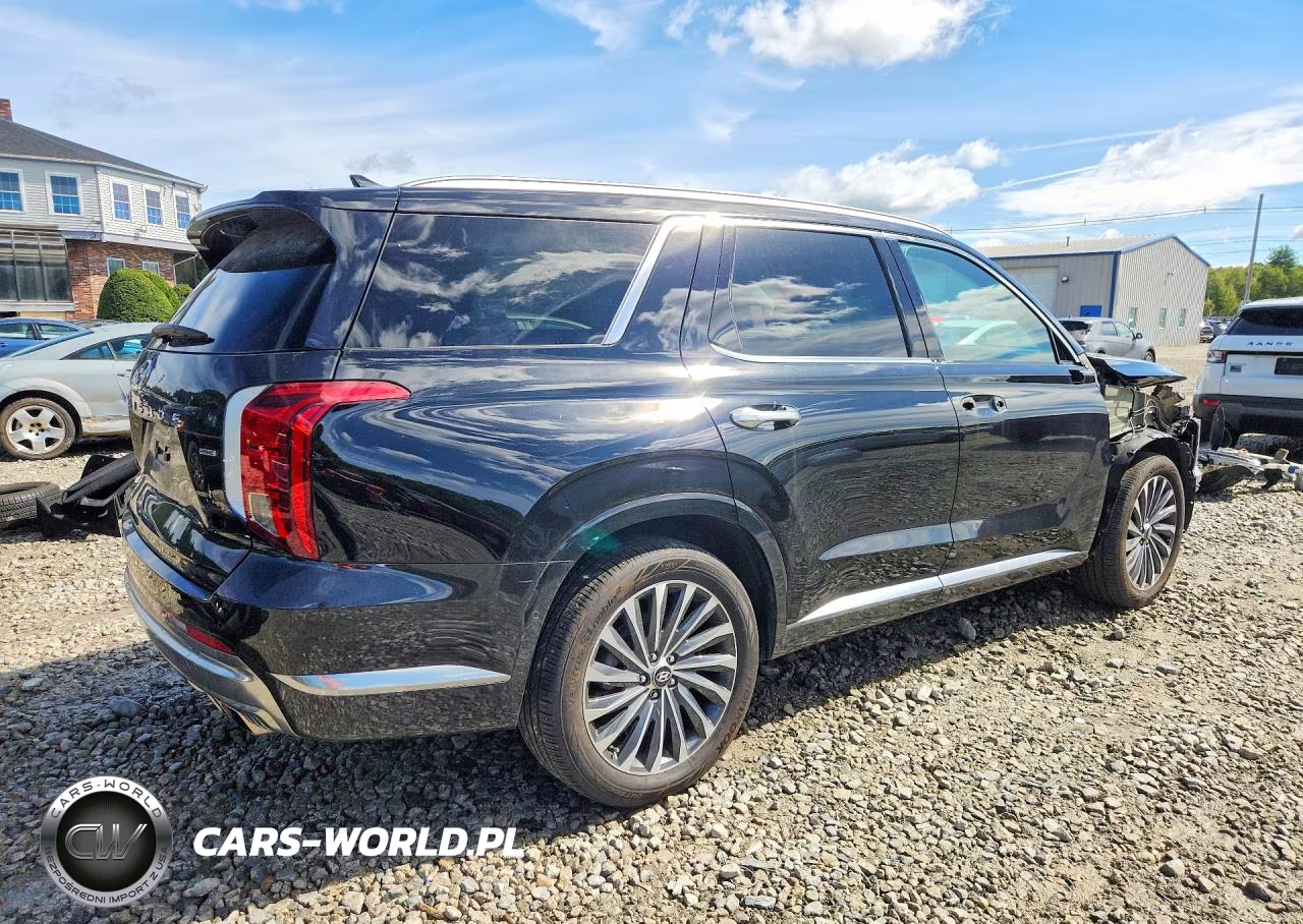 2025 Hyundai Palisade Calligraphy VIN:KM8R7DGE4SU917526 - 3