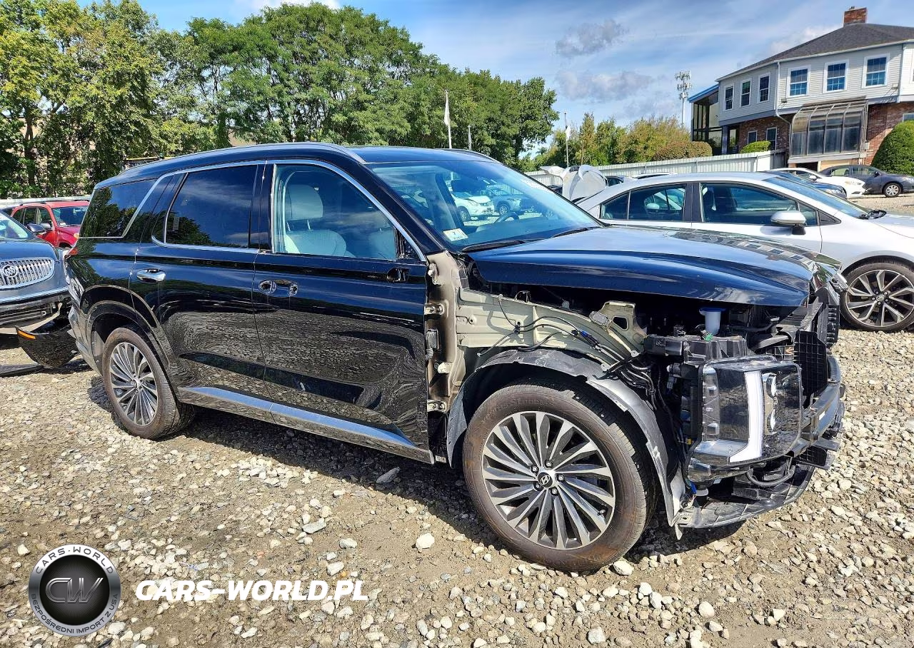 2025 Hyundai Palisade Calligraphy VIN:KM8R7DGE4SU917526 - 4