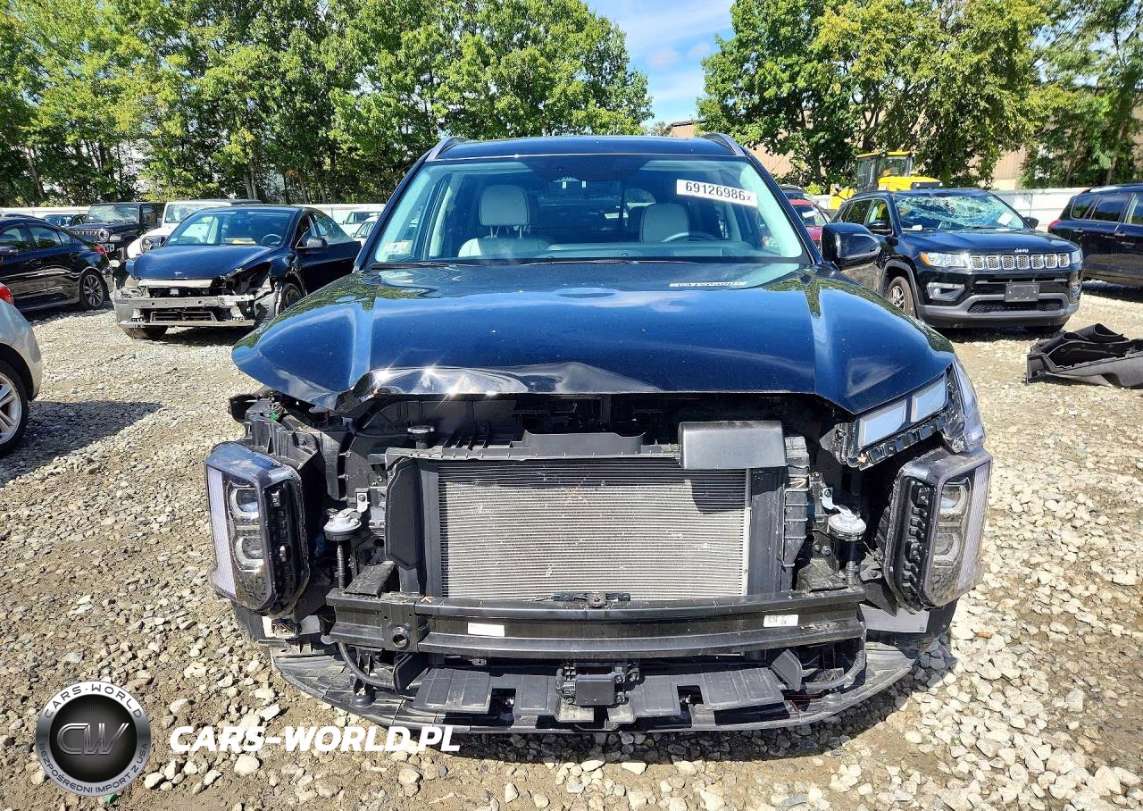 2025 Hyundai Palisade Calligraphy VIN:KM8R7DGE4SU917526 - 5