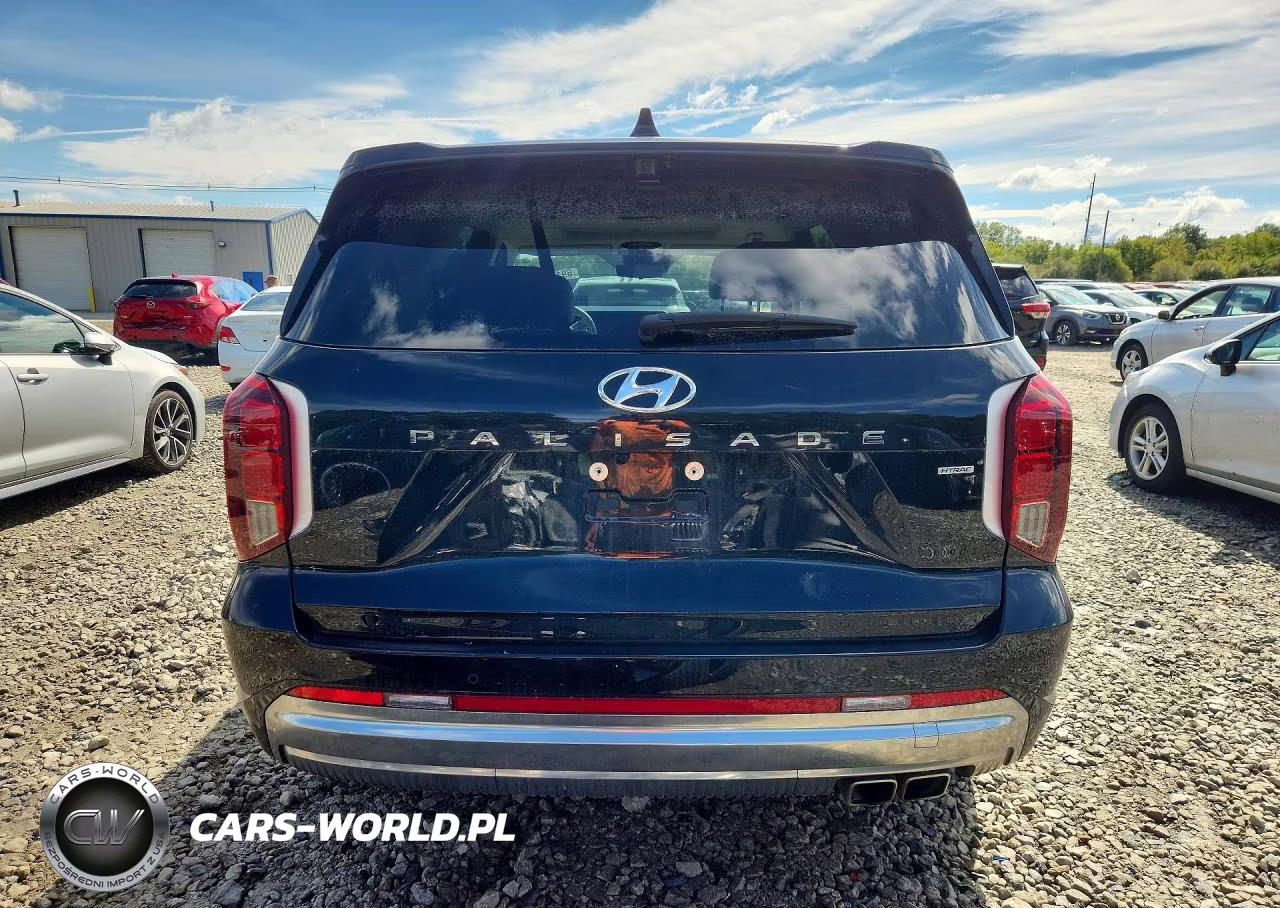 2025 Hyundai Palisade Calligraphy VIN:KM8R7DGE4SU917526 - 6