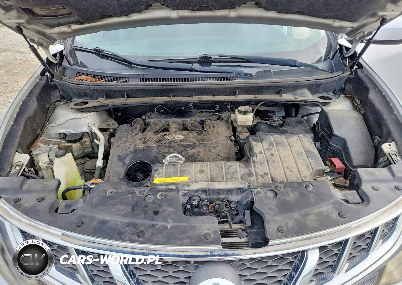 2013 Nissan Murano S VIN:JN8AZ1MW6DW307775 - 12