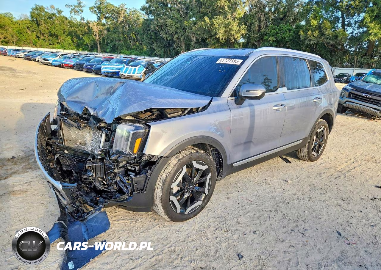 2025 Kia Telluride Ex VIN:5XYP34GC9SG630724 - 1