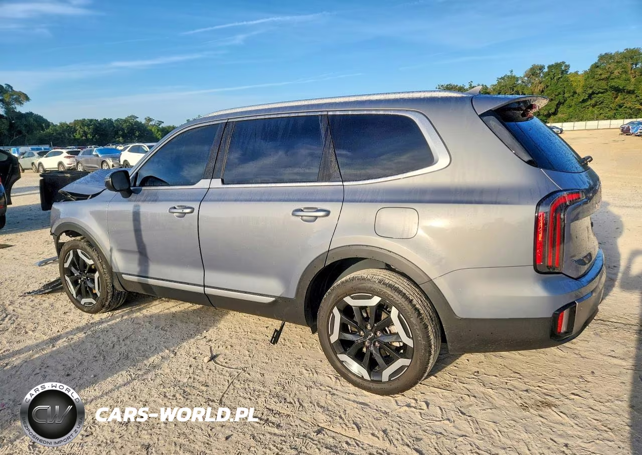 2025 Kia Telluride Ex VIN:5XYP34GC9SG630724 - 2