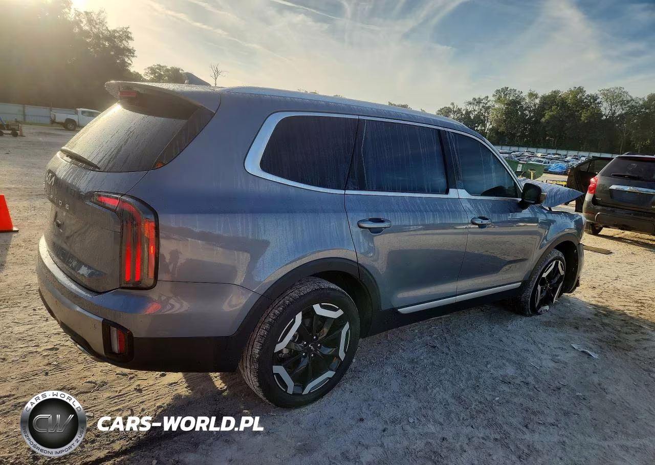 2025 Kia Telluride Ex VIN:5XYP34GC9SG630724 - 3