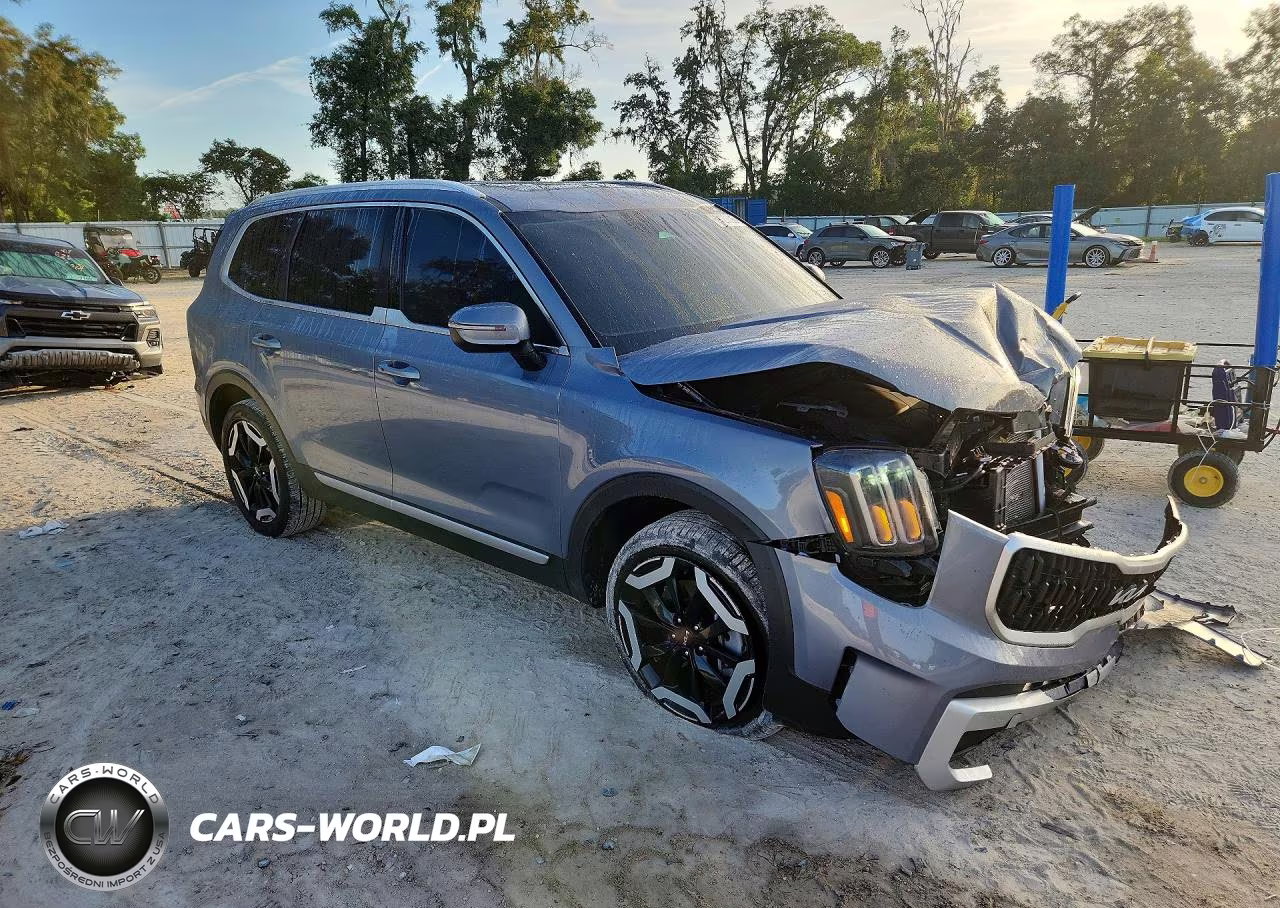 2025 Kia Telluride Ex VIN:5XYP34GC9SG630724 - 4