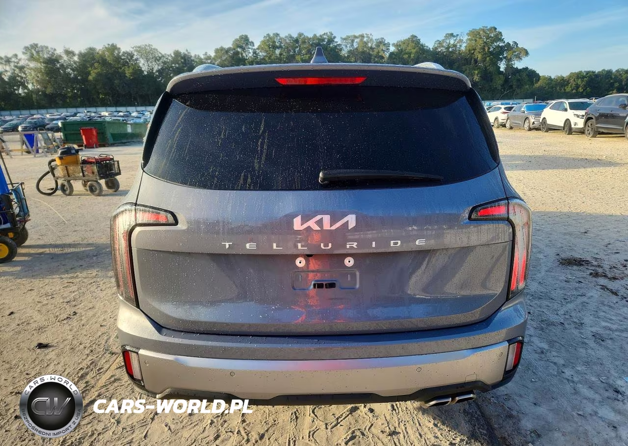 2025 Kia Telluride Ex VIN:5XYP34GC9SG630724 - 6