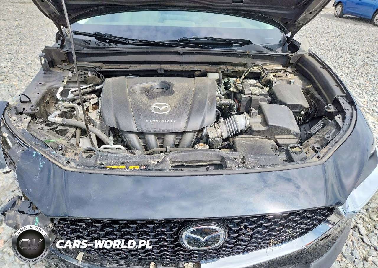 2021 Mazda Cx-30 Premium VIN:3MVDMADL8MM200898 - 12