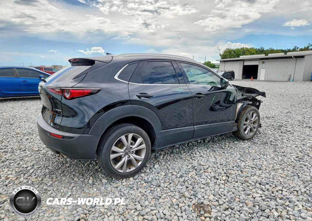 2021 Mazda Cx-30 Premium VIN:3MVDMADL8MM200898 - 3