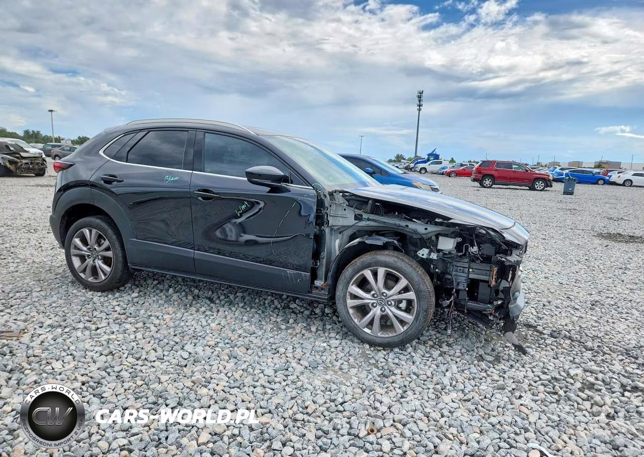 2021 Mazda Cx-30 Premium VIN:3MVDMADL8MM200898 - 4
