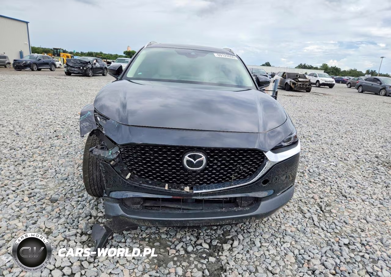 2021 Mazda Cx-30 Premium VIN:3MVDMADL8MM200898 - 5