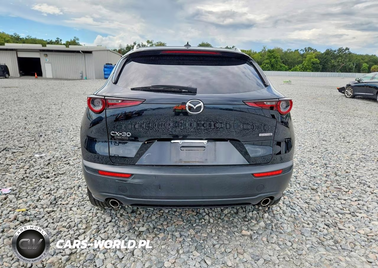 2021 Mazda Cx-30 Premium VIN:3MVDMADL8MM200898 - 6
