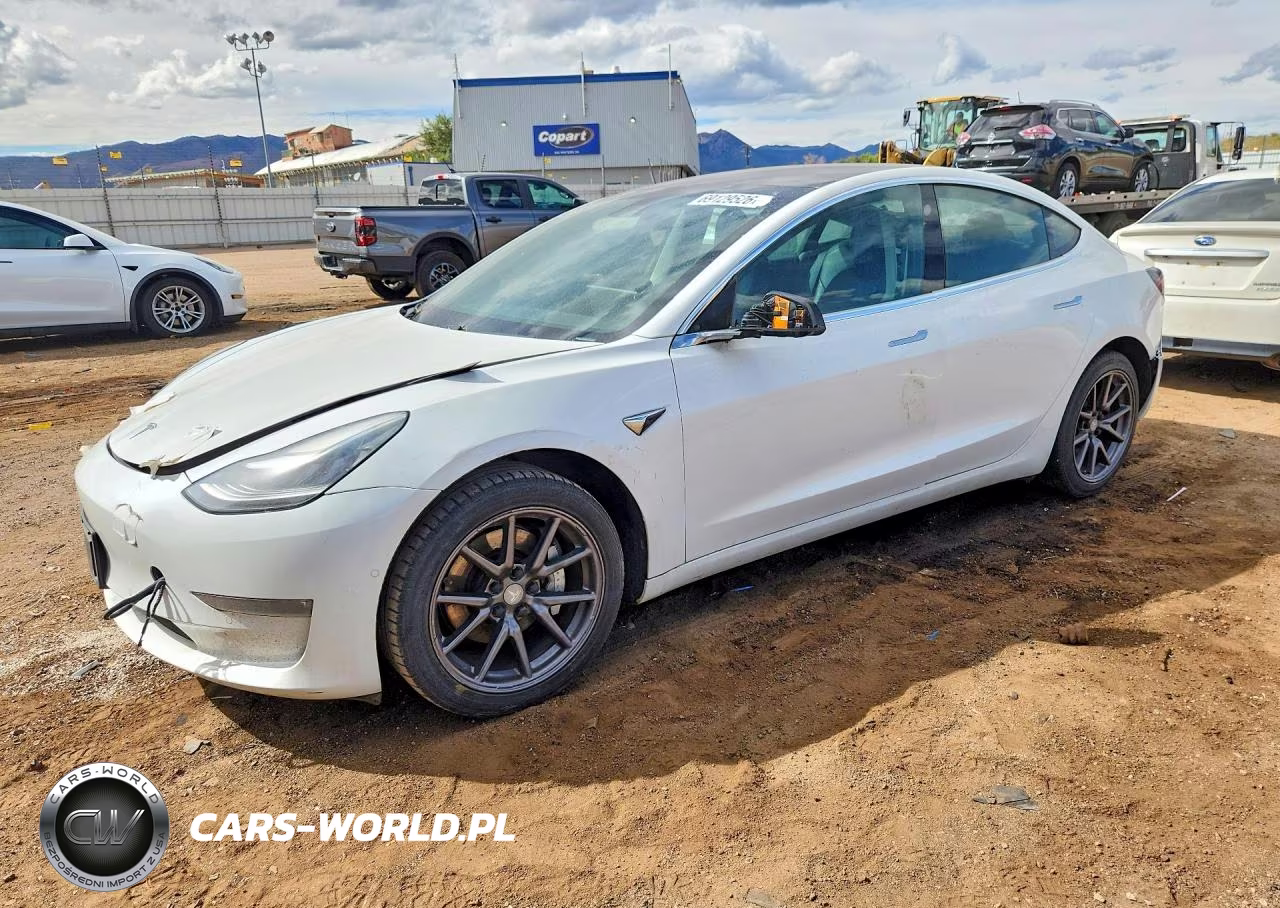 2019 Tesla Model 3
