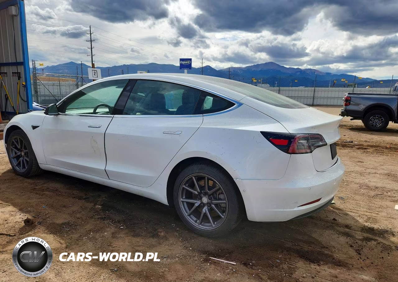 2019 Tesla Model 3 VIN:5YJ3E1EA5KF396954 - 2