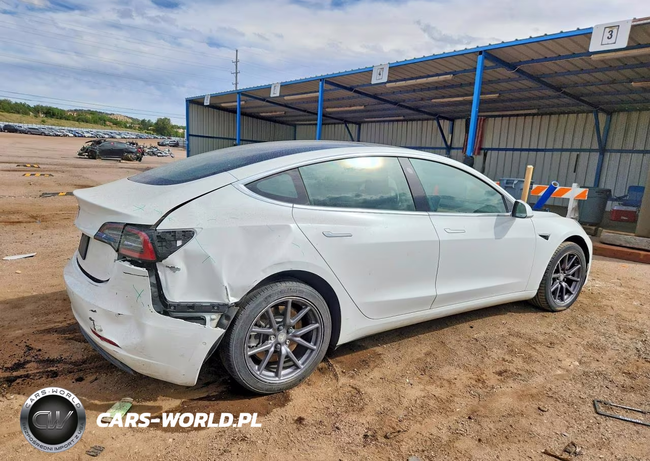 2019 Tesla Model 3 VIN:5YJ3E1EA5KF396954 - 3