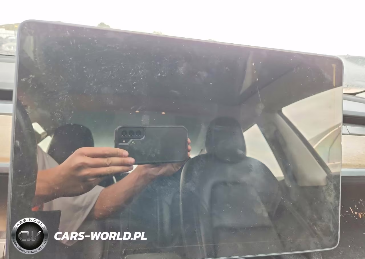 2019 Tesla Model 3 VIN:5YJ3E1EA5KF396954 - 9