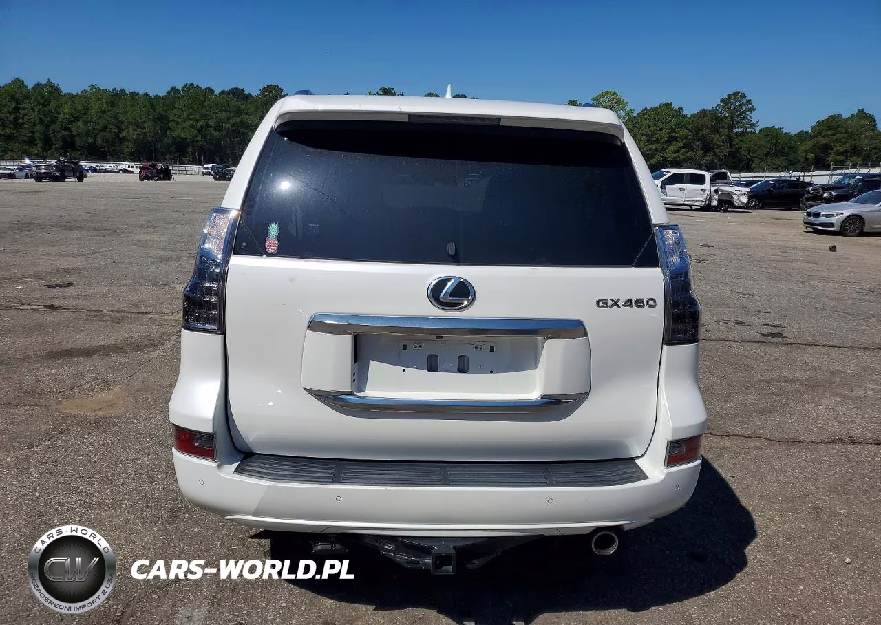 2021 Lexus Gx 460 Premium VIN:JTJAM7BX8M5298038 - 6