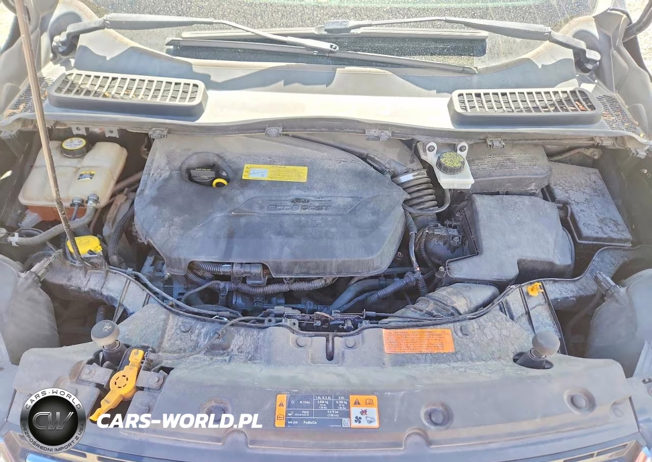 2013 Ford Escape Sel VIN:1FMCU0HXXDUC53551 - 12
