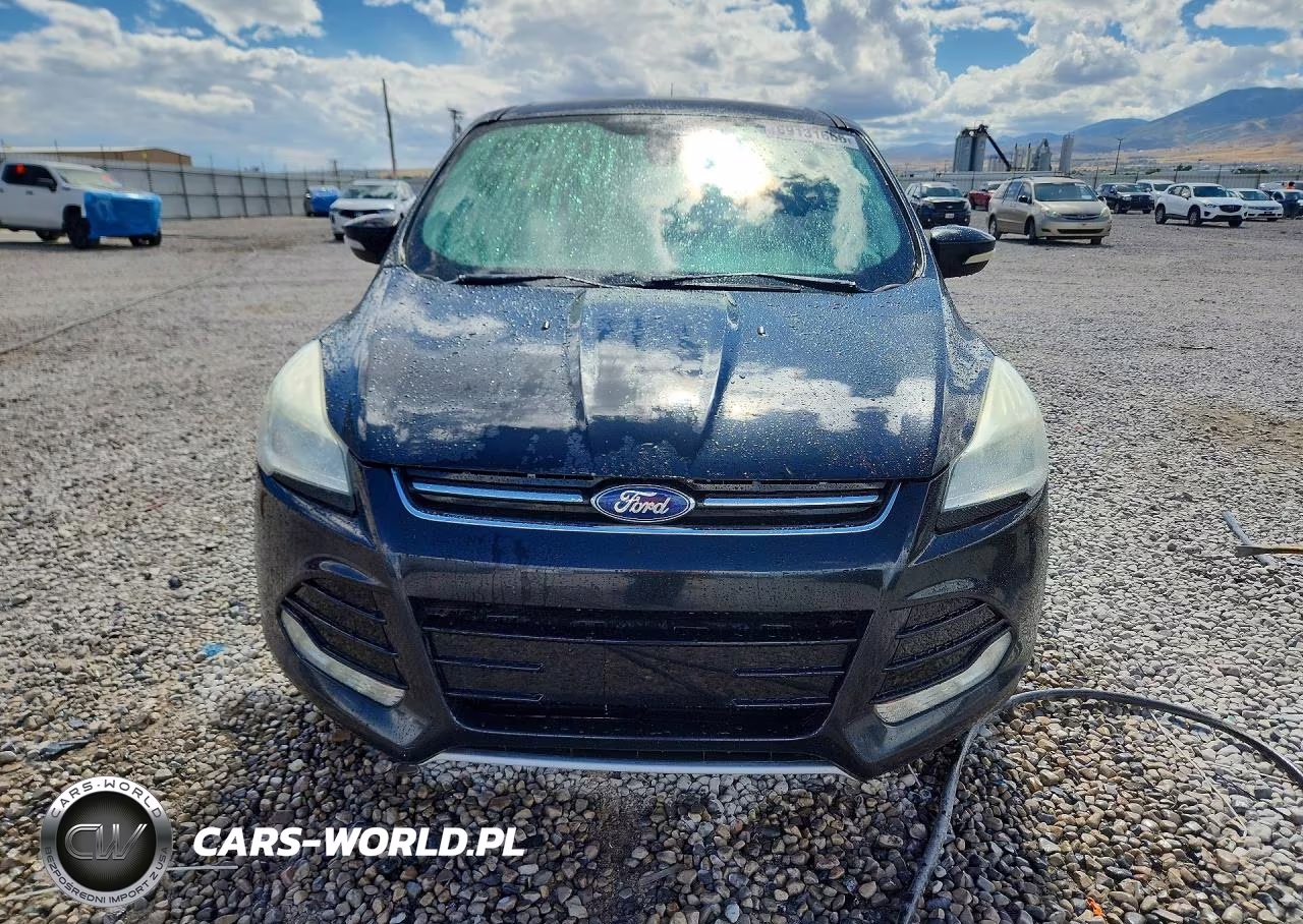 2013 Ford Escape Sel VIN:1FMCU0HXXDUC53551 - 5